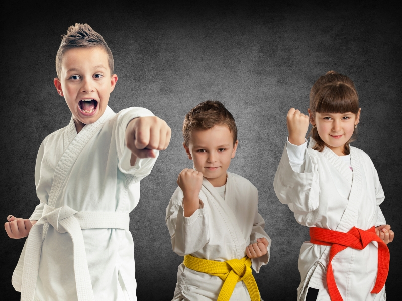 Karate Training Kampfsportschule Bushido